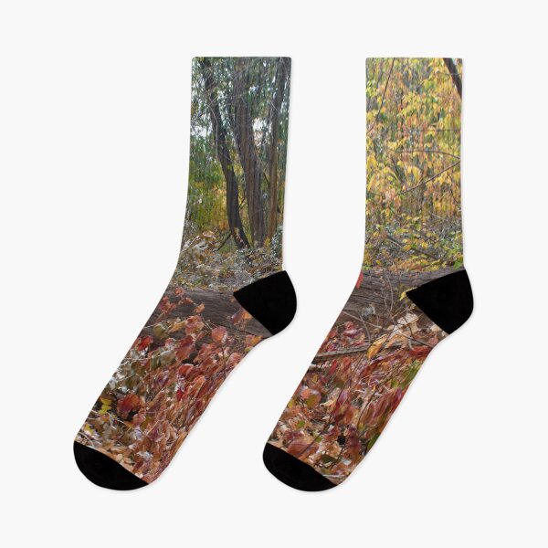 Item preview, Nature photography in the fall season designed and sold by Ventures1.