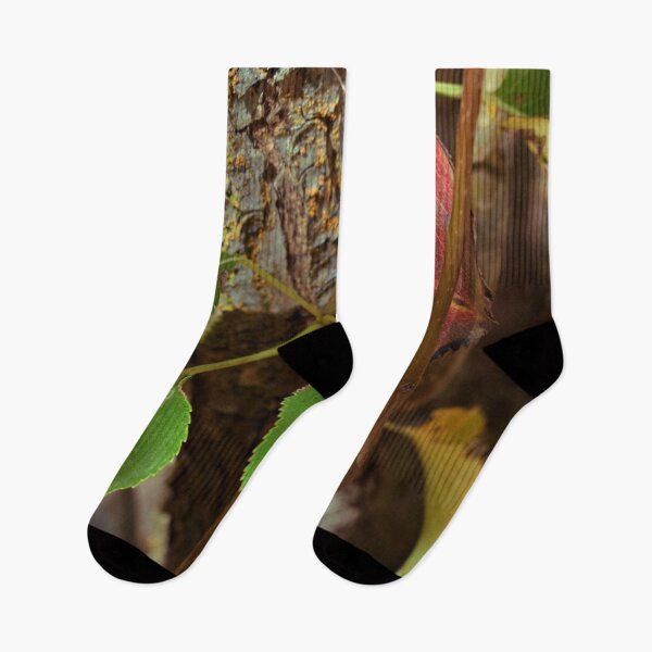 Item preview, Nature photography in the fall season designed and sold by Ventures1.