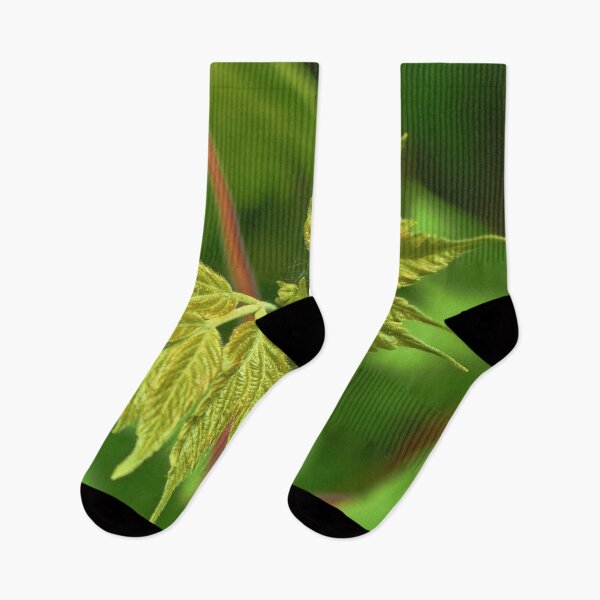 Item preview, Nature photography in the fall season designed and sold by Ventures1.