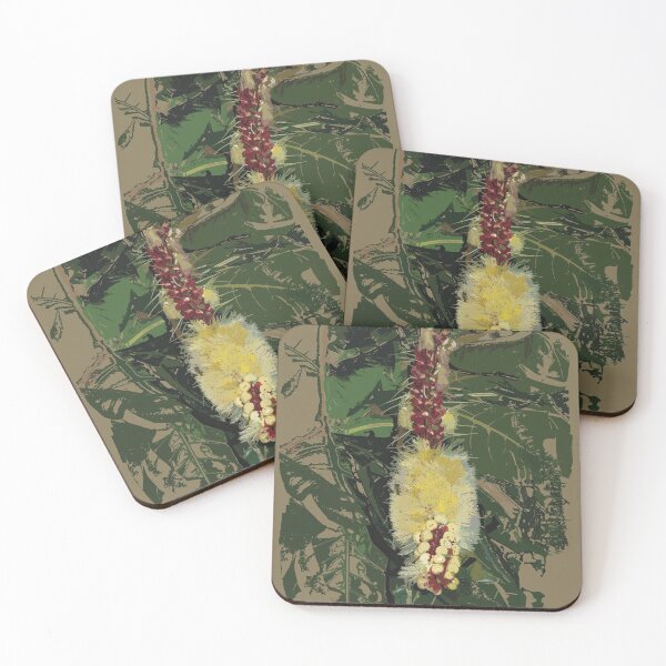 Item preview, Cut Nut or Barringtonia edulis designed and sold by NJartbyNJacobson.