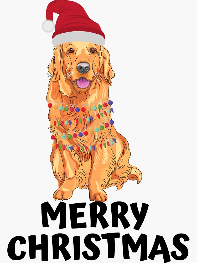Golden retriever with Christmas lights and hat wishes you a merry Christmas by ds-4