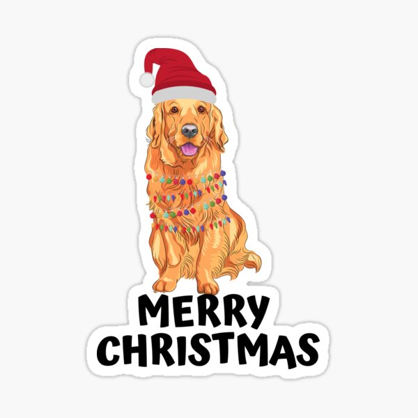 Golden retriever with Christmas lights and hat wishes you a merry Christmas Sticker