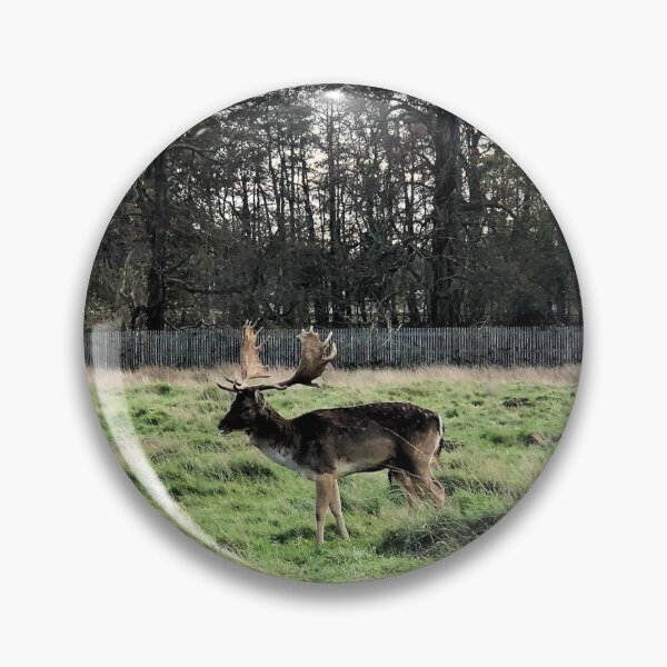 Item preview, England -Bushy Park- Moose designed and sold by joabaj.