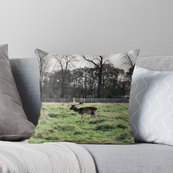 Item preview, England -Bushy Park- Moose designed and sold by joabaj.