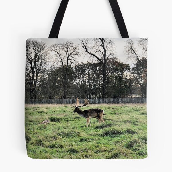 Item preview, England -Bushy Park- Moose designed and sold by joabaj.