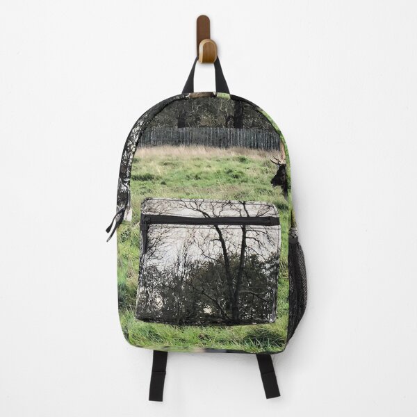 Item preview, England -Bushy Park- Moose designed and sold by joabaj.