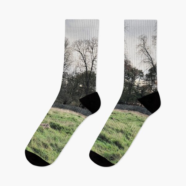 Item preview, England -Bushy Park- Moose designed and sold by joabaj.