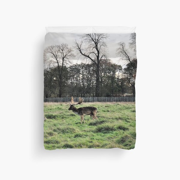Item preview, England -Bushy Park- Moose designed and sold by joabaj.