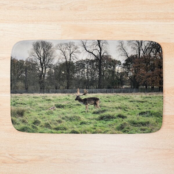Item preview, England -Bushy Park- Moose designed and sold by joabaj.