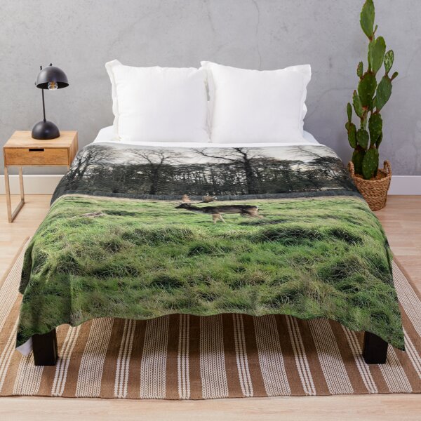 Item preview, England -Bushy Park- Moose designed and sold by joabaj.
