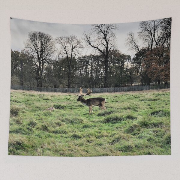 Item preview, England -Bushy Park- Moose designed and sold by joabaj.