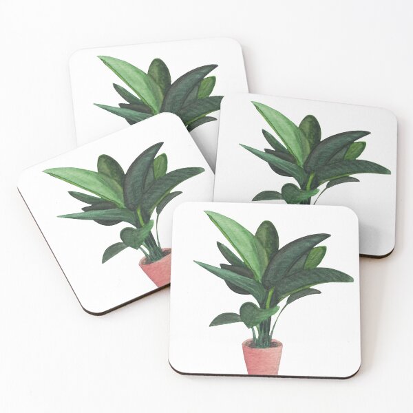 Item preview, Lady plant strelitzia nicolai designed and sold by Between Clouds.