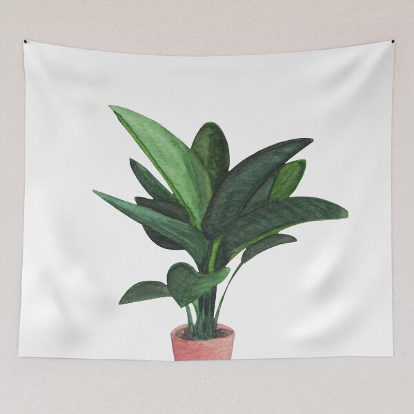 Item preview, Lady plant strelitzia nicolai designed and sold by Between Clouds.