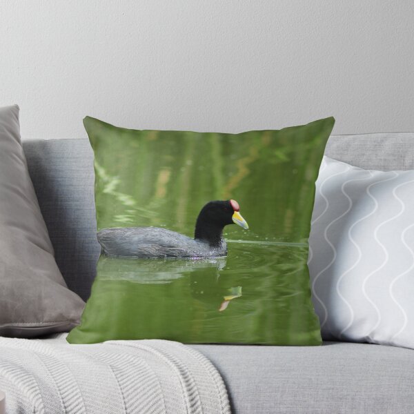 Aperçu de l'œuvre Andean Coot in a Lake créée et vendue par rhamm.