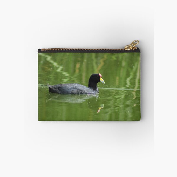Aperçu de l'œuvre Andean Coot in a Lake créée et vendue par rhamm.