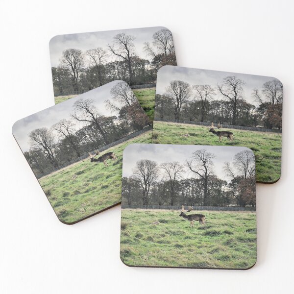 Item preview, England -Bushy Park- Moose designed and sold by joabaj.