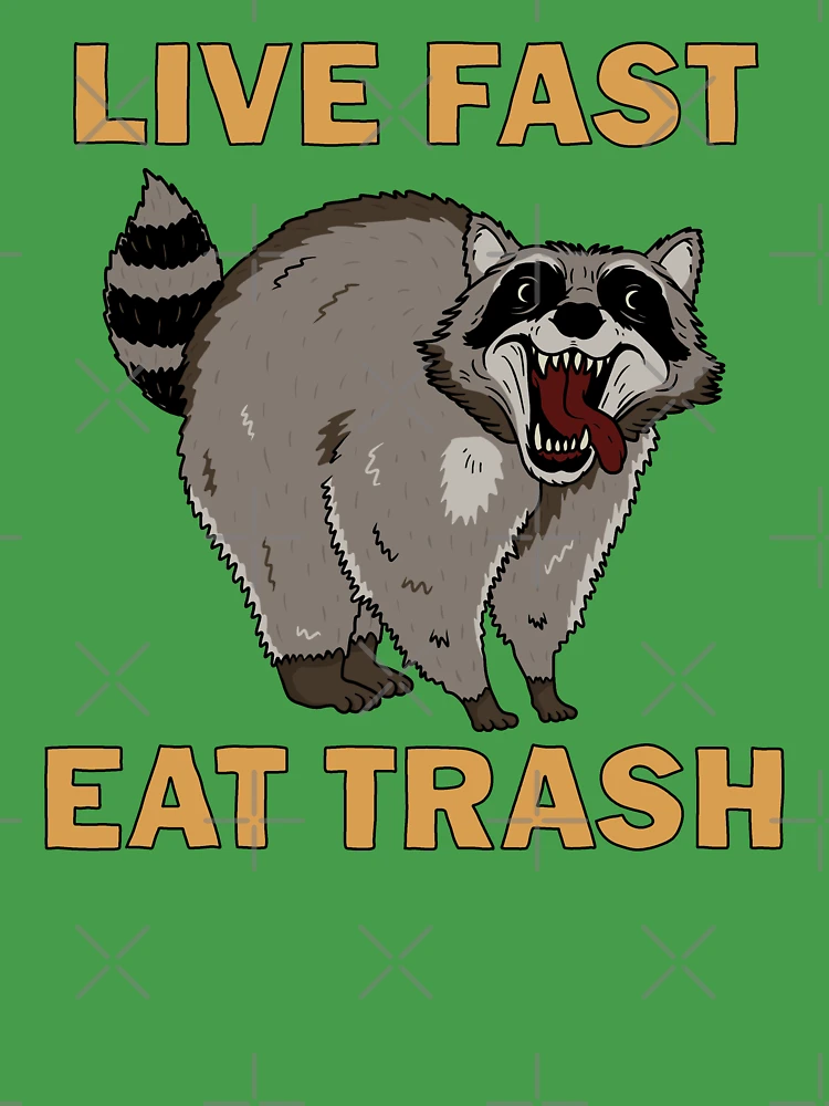 Live fast, eat trash raccoon trash panda sticker – Big Moods