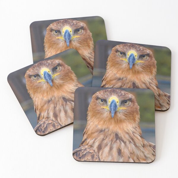 Item preview, Eagle Stare designed and sold by Fearless-Fox.