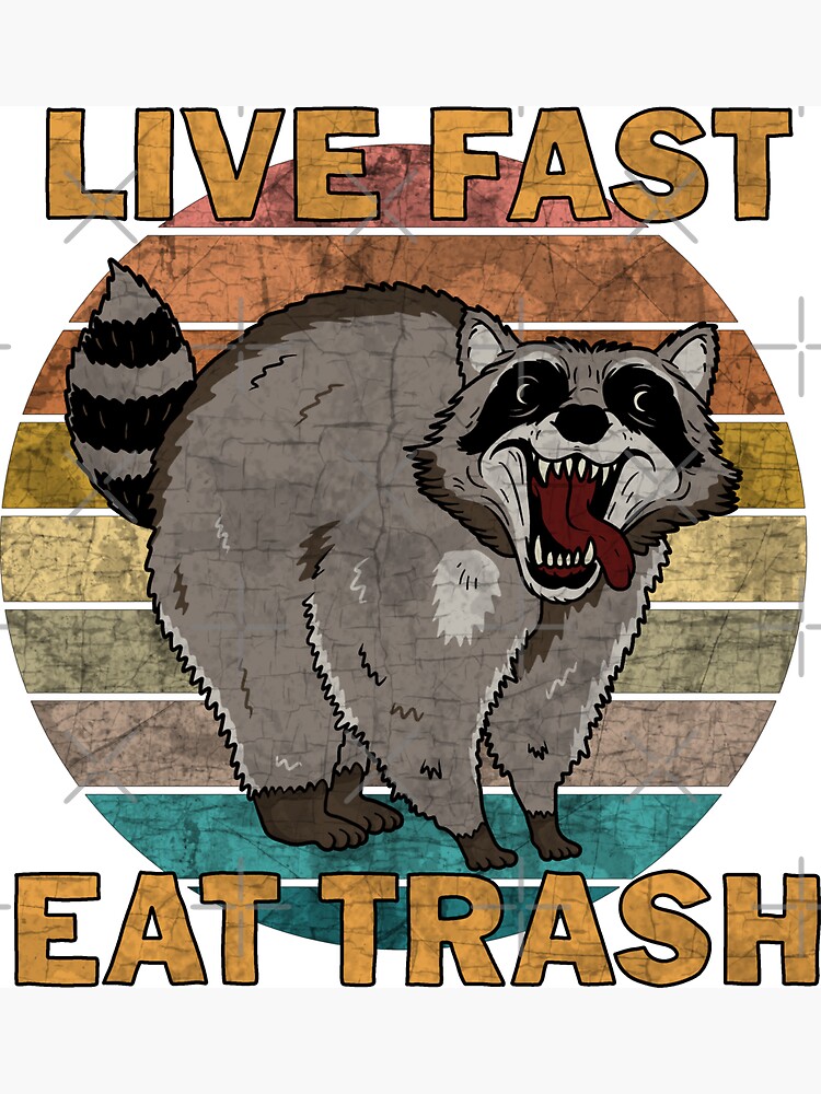 live fast eat trash raccoon