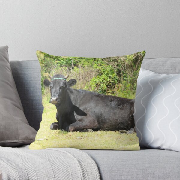 Item preview, Black Cow Lying Down designed and sold by rhamm.