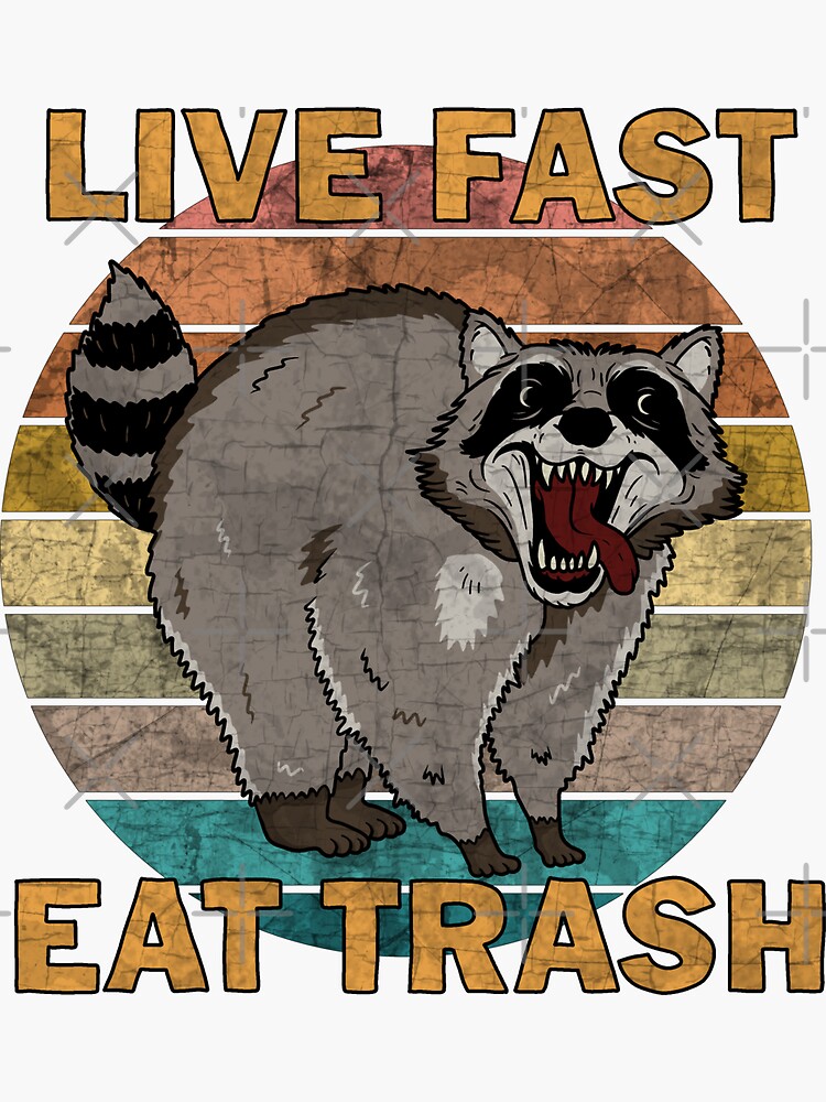  I Eat What I Want Garbage Trash Raccoon Raglan