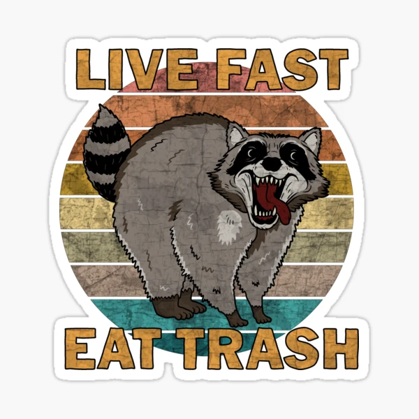 Salad Days Raccoon Sticker – NOOWORKS