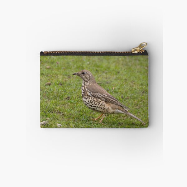 Item preview, Mistle Thrush designed and sold by Robert Carr.
