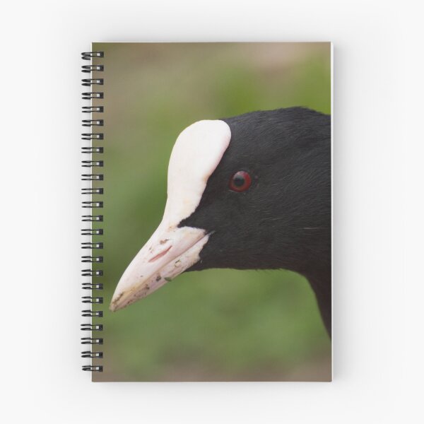Item preview, Coot designed and sold by Robert Carr.