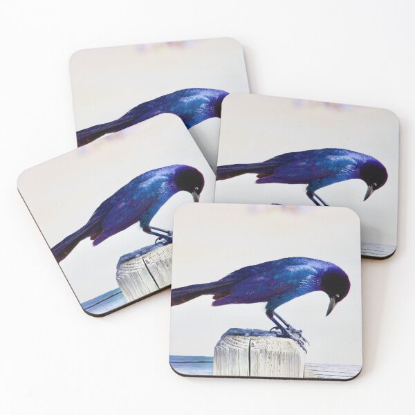 Item preview, Grackle Bird on Tybee Island Pier, Georgia designed and sold by HHLifestyleTrav.