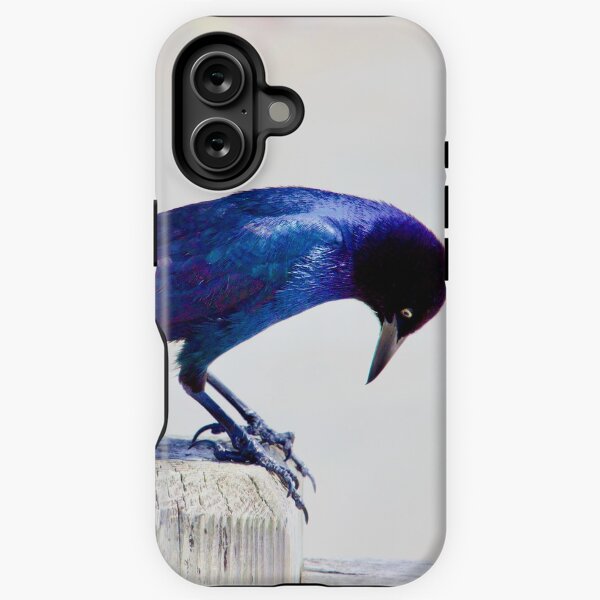 Item preview, Grackle Bird on Tybee Island Pier, Georgia designed and sold by HHLifestyleTrav.