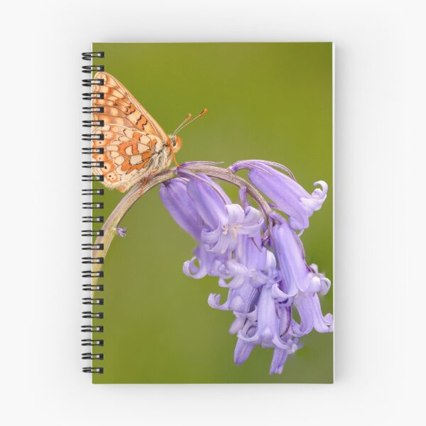 Artikelvorschau, Marsh Perlmutterfalter auf einer Glockenblume entworfen und verkauft von Davidpstephens.