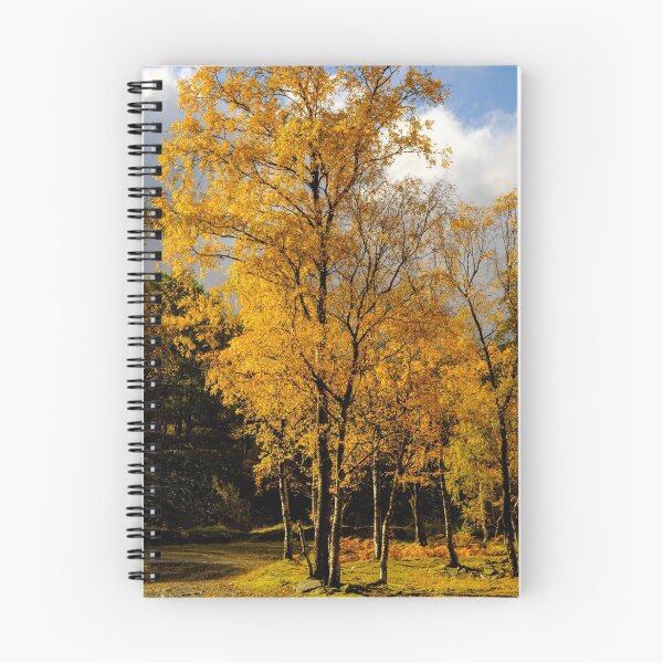 Item preview, Glowing Autumn Tree designed and sold by Jill Bramley.