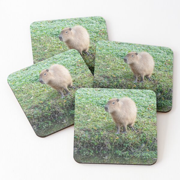 Item preview, Capybara on the river bank designed and sold by Dalyndigital Photography.