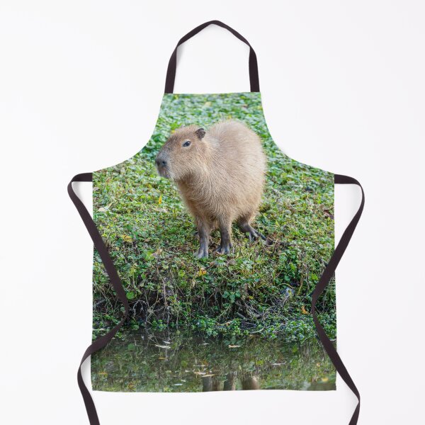 Item preview, Capybara on the river bank designed and sold by Dalyndigital Photography.