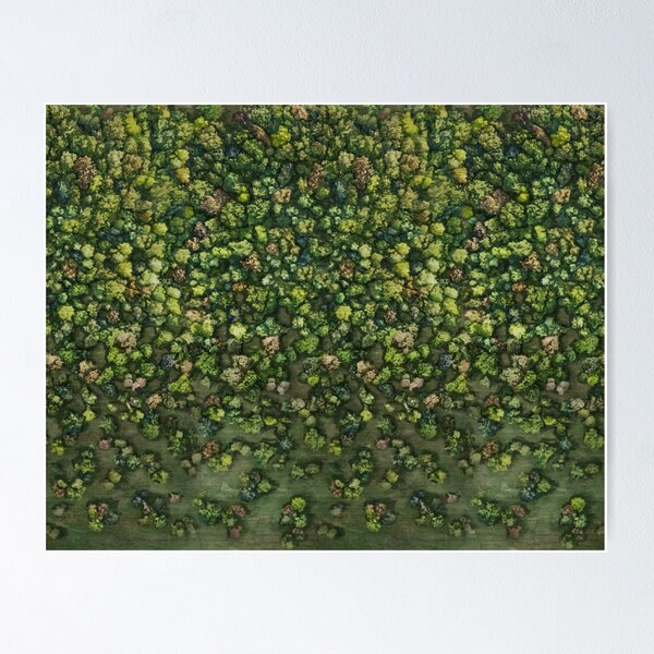 Item preview, Spring at the edge of the Forest  designed and sold by Green-over-red.