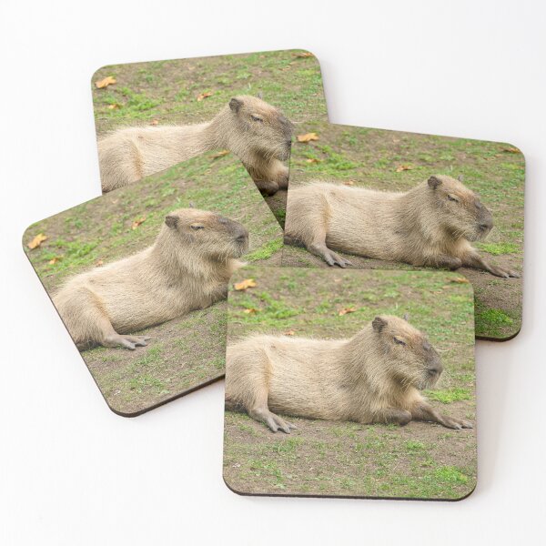 Item preview, Just Chilled Capy designed and sold by Dalyndigital Photography.