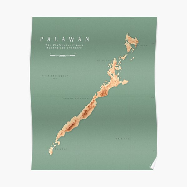 Palawan Relief Map Poster For Sale By Hannahasetre Redbubble 4674