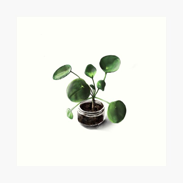 Pretty in Pilea Art Print