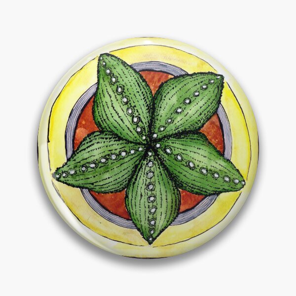 Item preview, Astrophytum cactus star cacti plant watercolour illustration designed and sold by Pragonette.