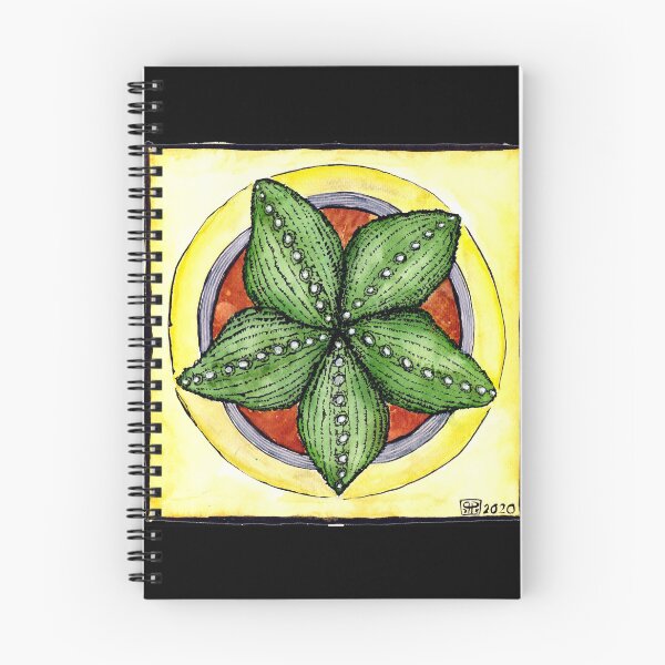 Item preview, Astrophytum cactus star cacti plant watercolour illustration designed and sold by Pragonette.