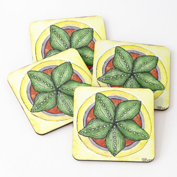 Item preview, Astrophytum cactus star cacti plant watercolour illustration designed and sold by Pragonette.