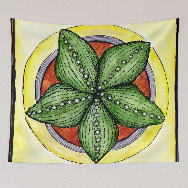 Item preview, Astrophytum cactus star cacti plant watercolour illustration designed and sold by Pragonette.