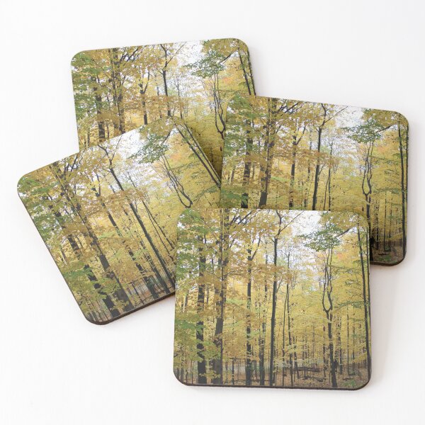 Item preview, Autumn Walk in the Woods designed and sold by Susie Kramer.
