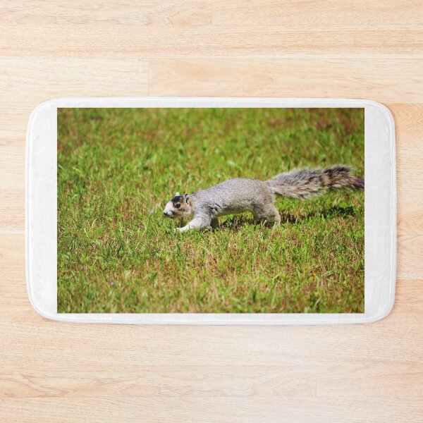 Item preview, Southern Fox Squirrel  designed and sold by Cynthia48.