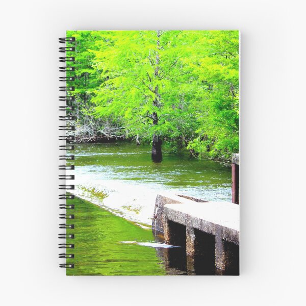 Item preview, Lake Waccamaw Dam designed and sold by Cynthia48.