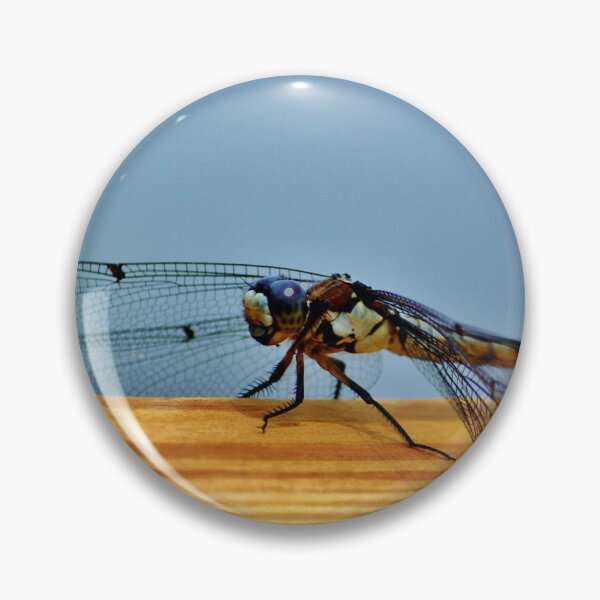 Item preview, Winged Insect designed and sold by Cynthia48.