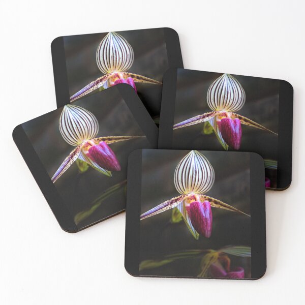 Item preview, Ecuador Loves Orchids II designed and sold by alabca.