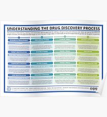The Drug Discovery Process Poster