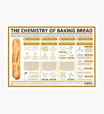The Chemistry of Bread-Making Photographic Print