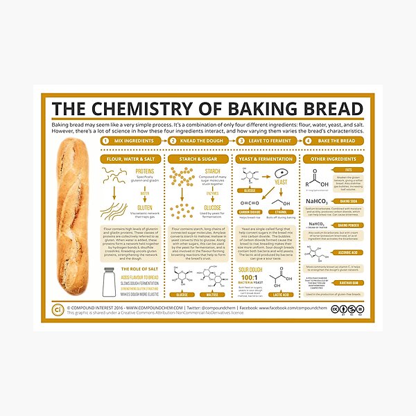 The Chemistry of Bread-Making Photographic Print